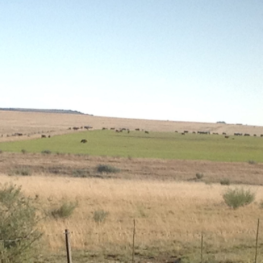 Commercial Property for Sale in Thaba Nchu Free State